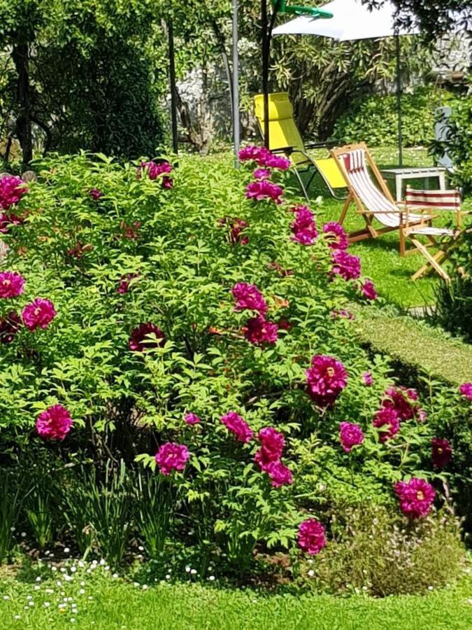Ca Balossa, Tremezzina Lago Di Como Davanti A Bellagio E Villa Balbianello Mezzegra Exterior foto